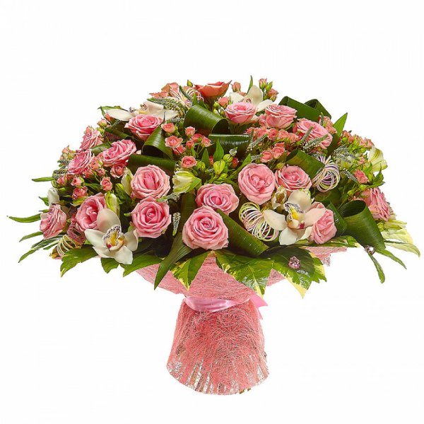 Шикарные цветы