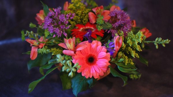 Красивый букет цветов