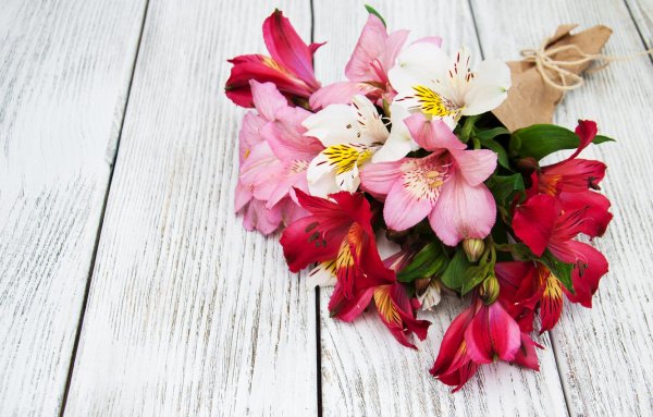 Цветы для яркой женщины