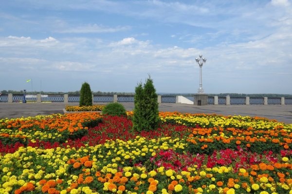 Самарская набережная цветы