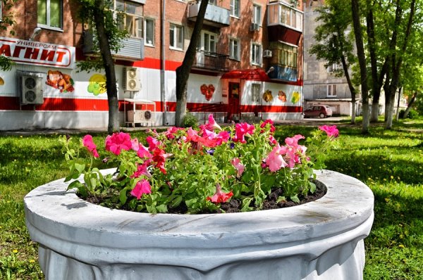 Самара Цветочная