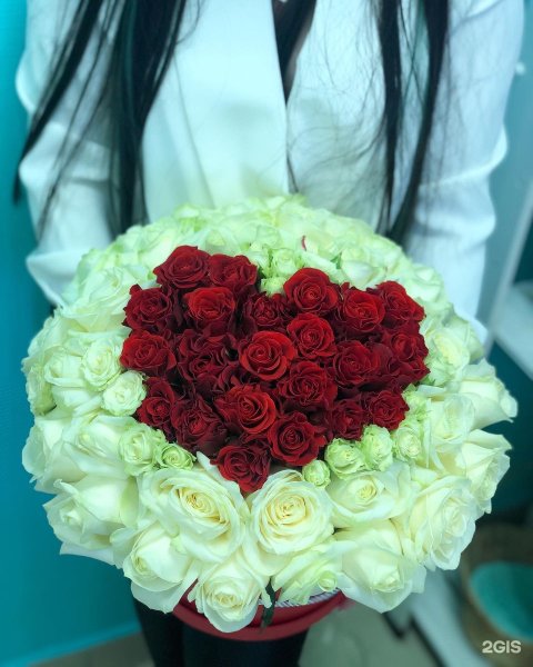 Самара набережная клумбы