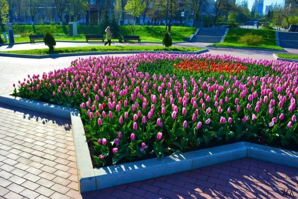 Волга весной