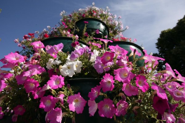 Самара фестиваль цветов страшная фигура