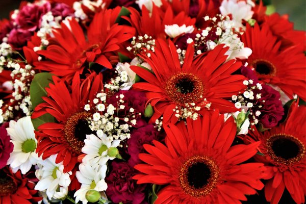 Огромный букет