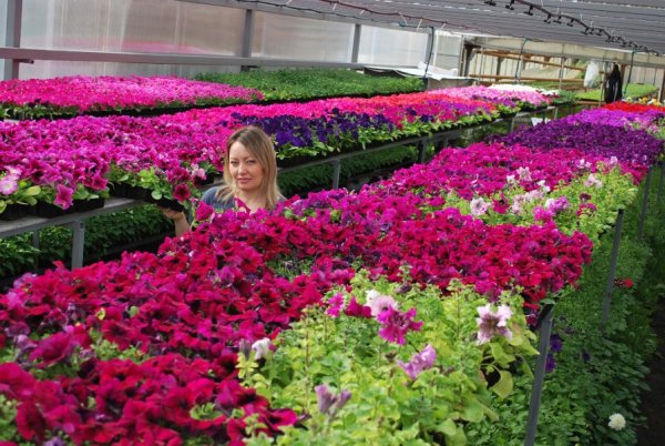 Река Самара Самарская область весной