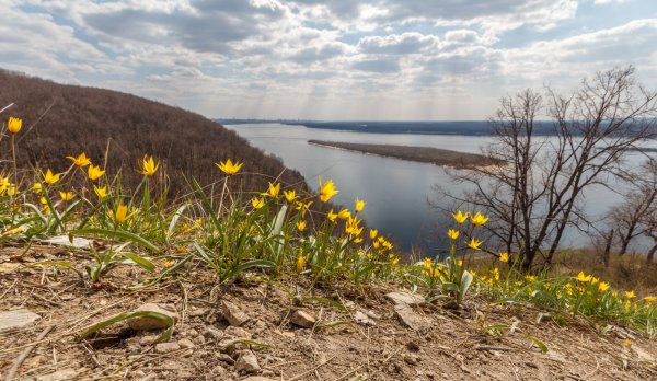 Струнеский парк Самара