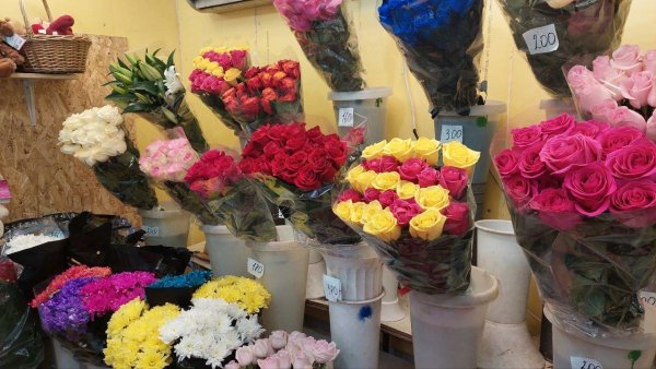 Клумба сквер Кирова Иркутск