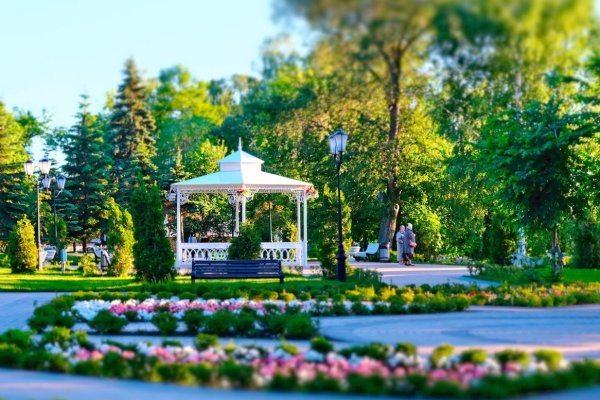 Волга цветет Тольятти