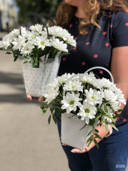 Цветы в Самаре в кашпо на улице