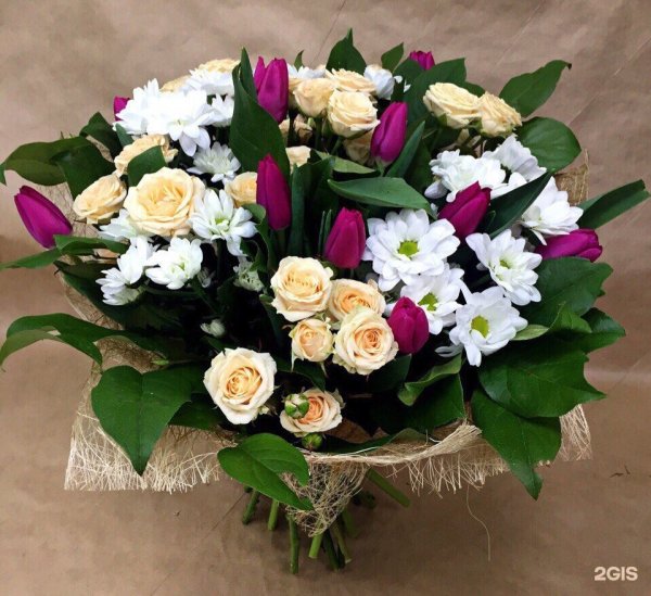 Струковский сад фестиваль цветов