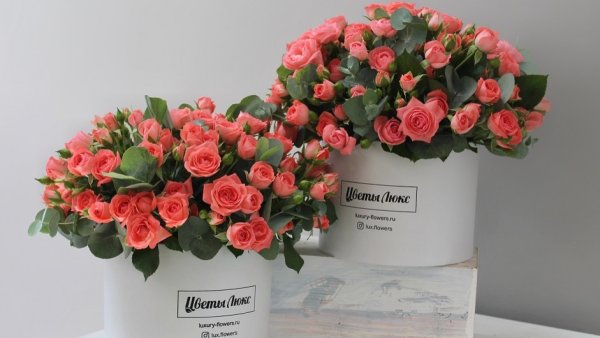 Цветы Самара