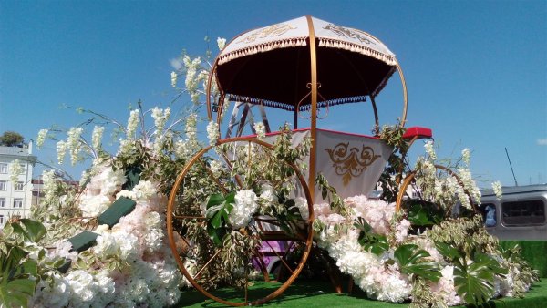 Самарские цветы