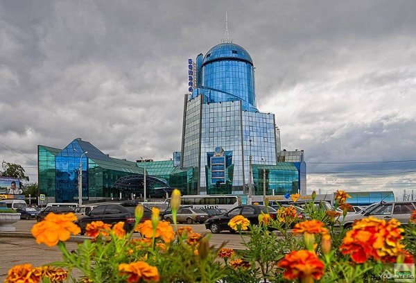 Грековский лес Самарская область