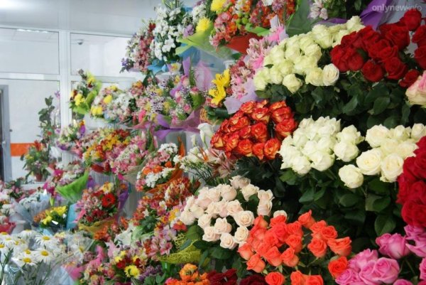 Цветы на черном фоне