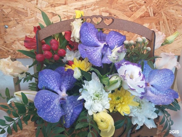 Струковский сад фестиваль цветов