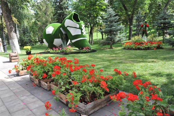 Самара набережная клумбы