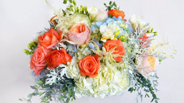 Красивые цветы