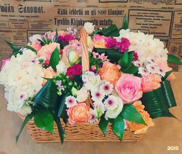 Подснежник прострел весенний