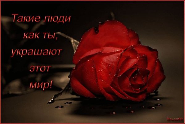 Надпись цветы