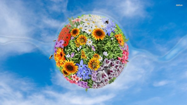 Планета с цветами