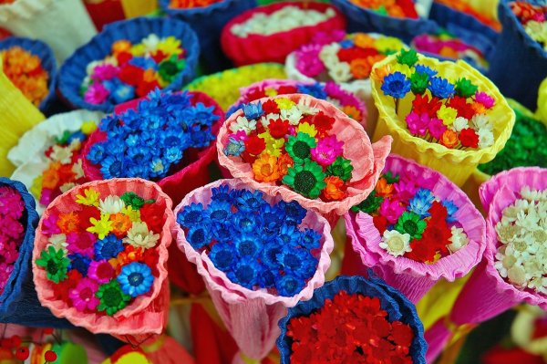 Лето пришло иллюстрации