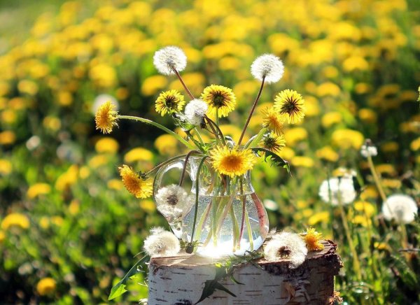 Природа красота романтика