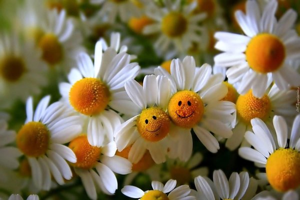 Весеннее настроение