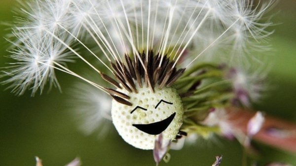 Летнее настроение