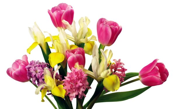 Весенний букет на прозрачном фоне