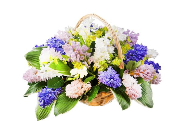 Цветочные композиции на прозрачном фоне