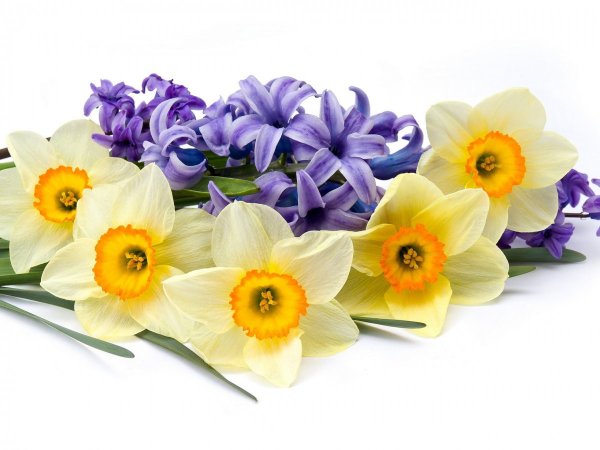 Весенний букет с нарциссами