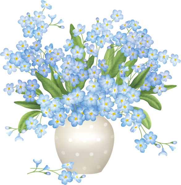 Весенние цветы на прозрачном фоне