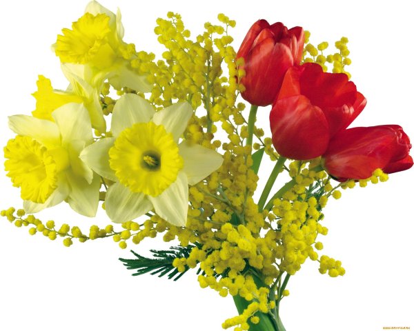 Весенний букет на прозрачном фоне