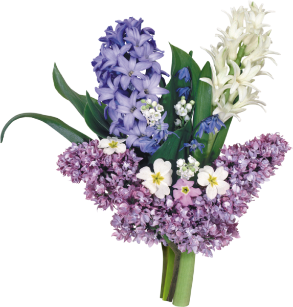 Букет весенних цветов