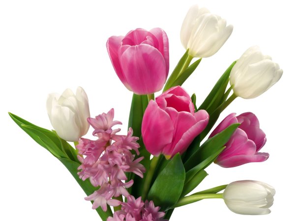 Корзина с цветами