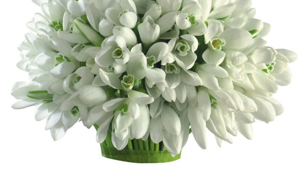 Весенний букет на прозрачном фоне