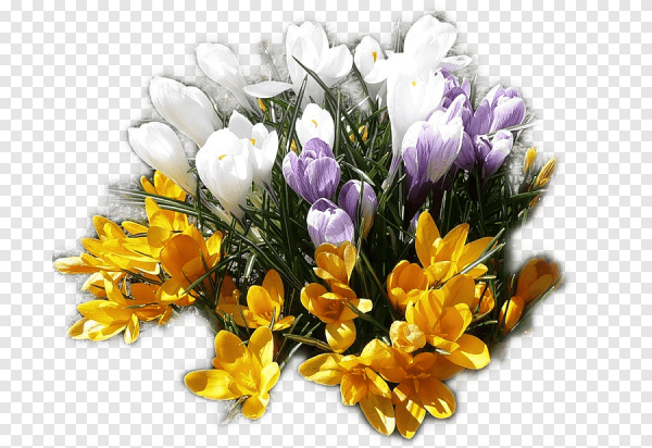 Векторные весенние цветы