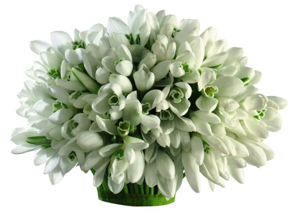 Букет с нарциссами и вербой