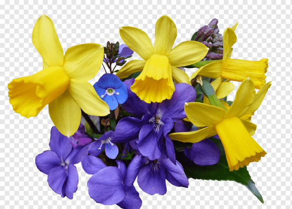 Весенний букет на белом фоне