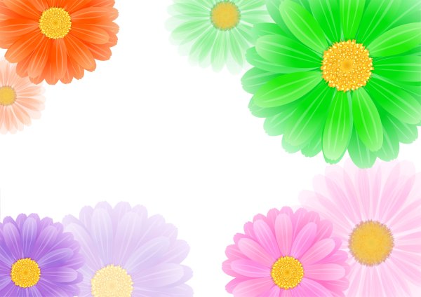 Плакат. Цветы