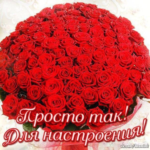 Цветы просто так для настроения