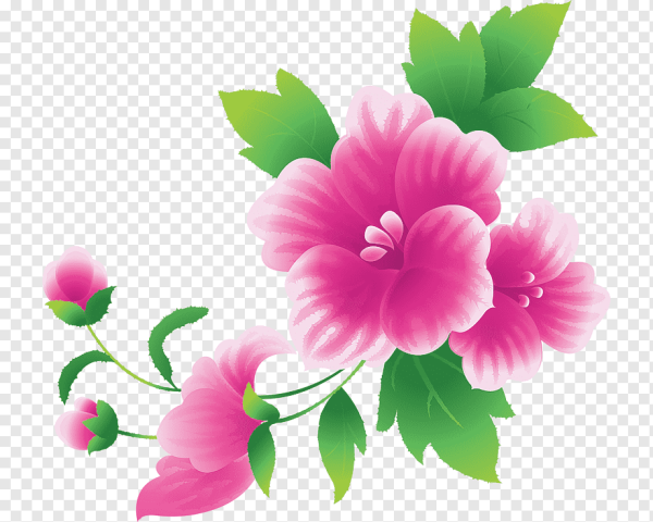 Цветы клипарт