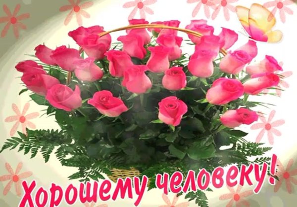 Просто так для хорошего настроени