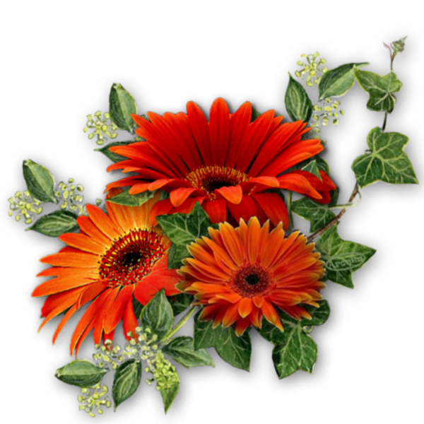 Милый букет цветов