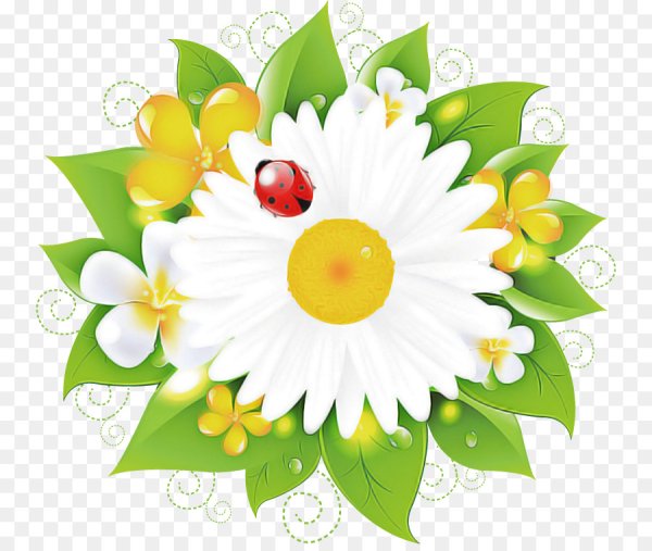 Цветы с глазами