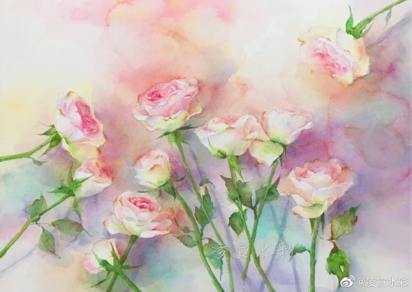 Роза акварель