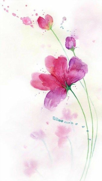 Нежные цветы акварель