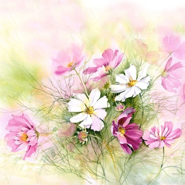 Рэйчел МАКНОТОН картины