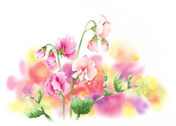 Ибараги Йосиюки (Ibaragi Yoshiyuki)